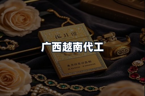 广西越南代工
